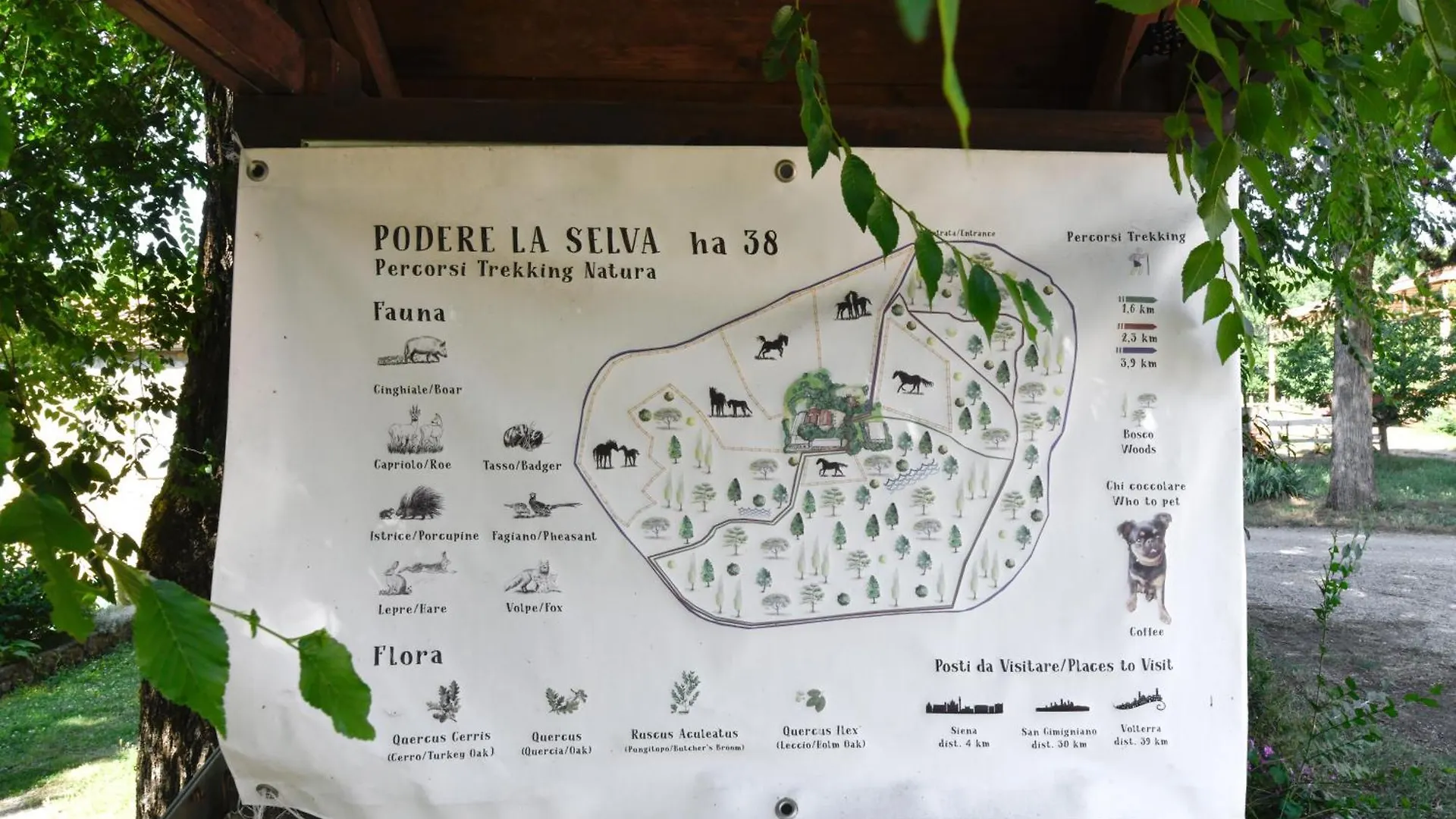 Agriturismo La Selva Siena