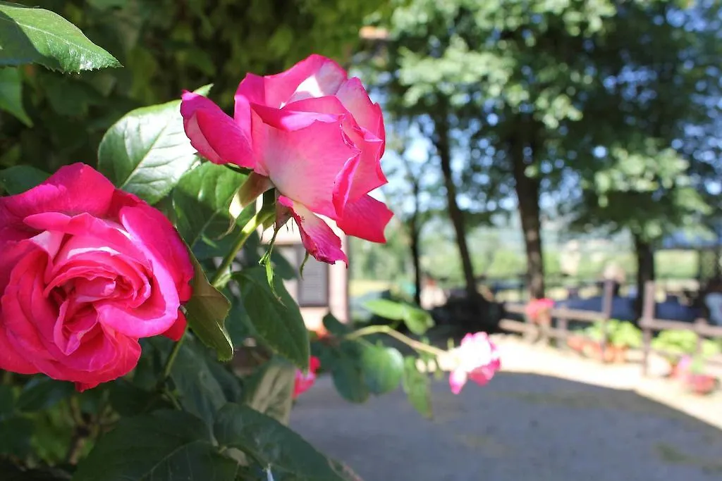 Agroturismo Agriturismo La Selva Siena