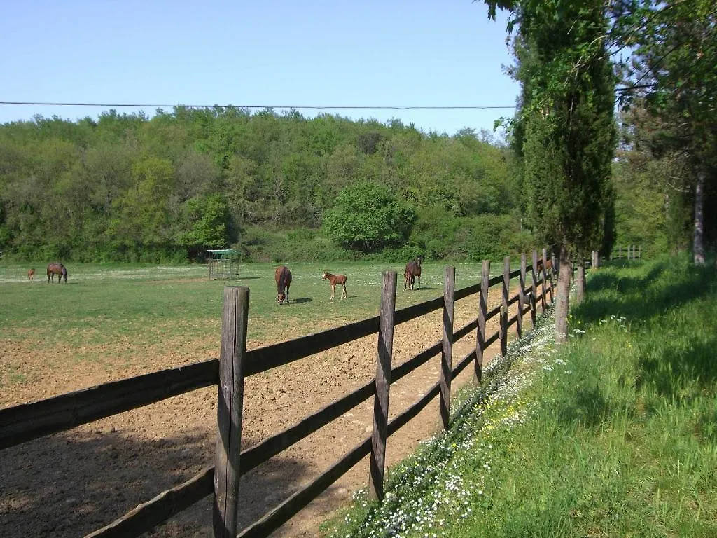 Agriturismo La Selva Siena Farm stay